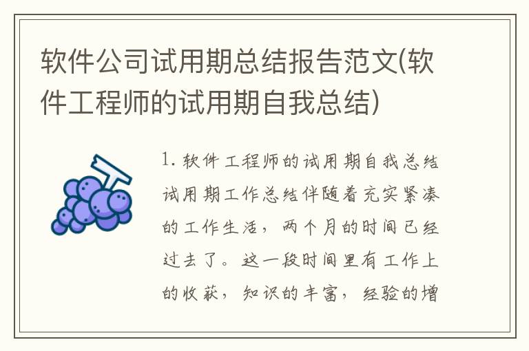 软件公司试用期总结报告范文(软件工程师的试用期自我总结)
