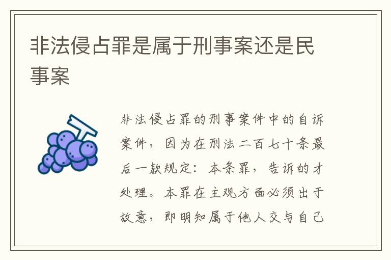 非法侵占罪是属于刑事案还是民事案