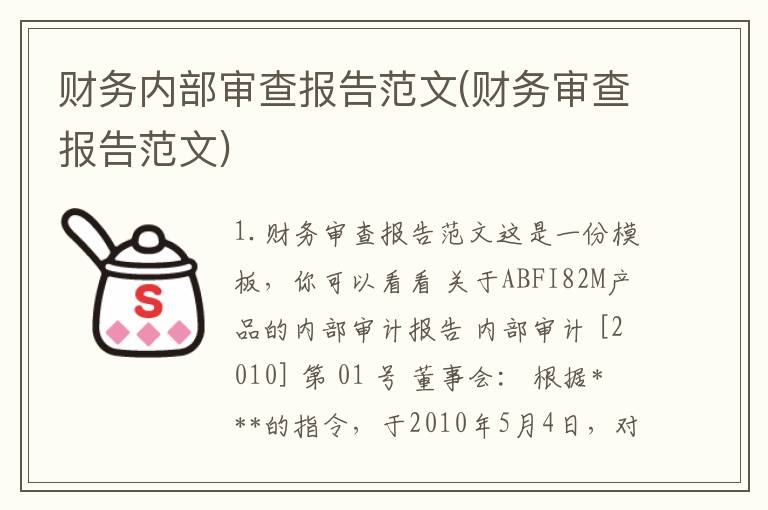 财务内部审查报告范文(财务审查报告范文)