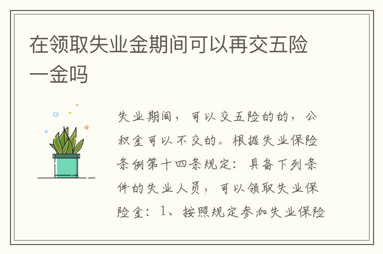在领取失业金期间可以再交五险一金吗
