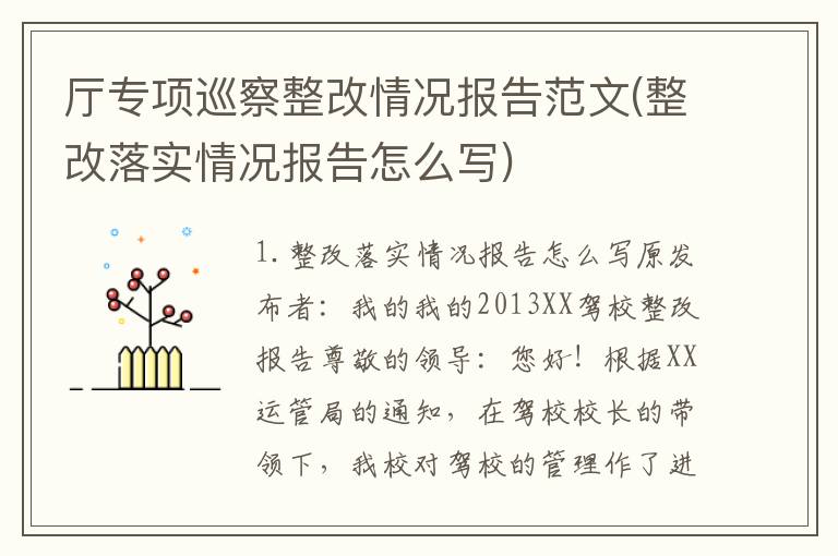 厅专项巡察整改情况报告范文(整改落实情况报告怎么写)