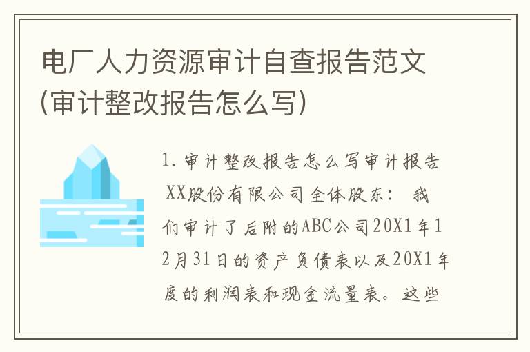 电厂人力资源审计自查报告范文(审计整改报告怎么写)