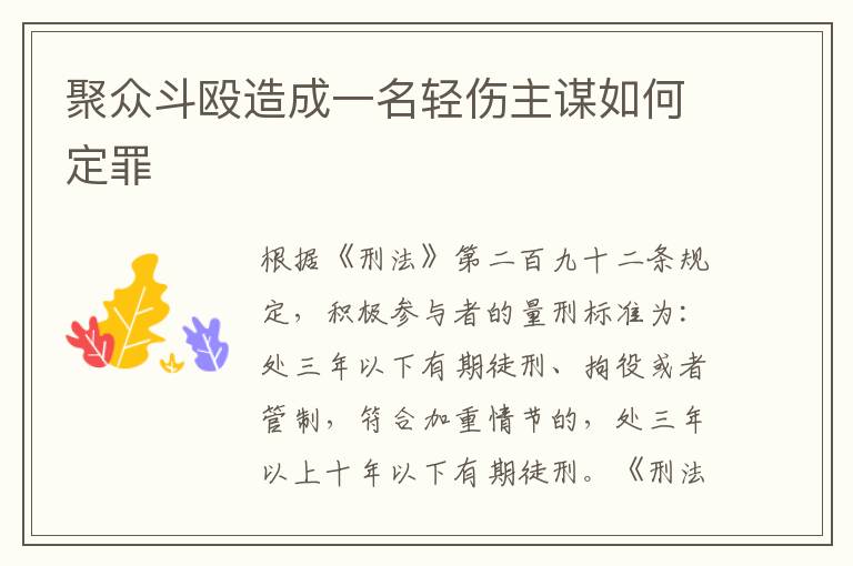 聚众斗殴造成一名轻伤主谋如何定罪