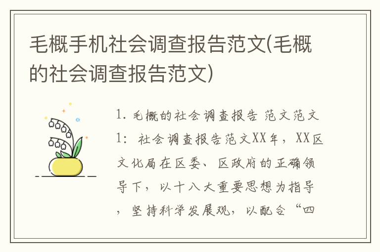 毛概手机社会调查报告范文(毛概的社会调查报告范文)