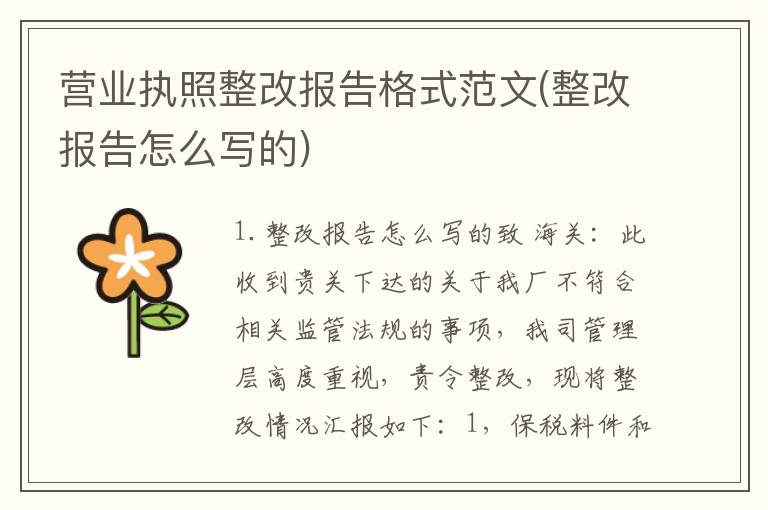 营业执照整改报告格式范文(整改报告怎么写的)