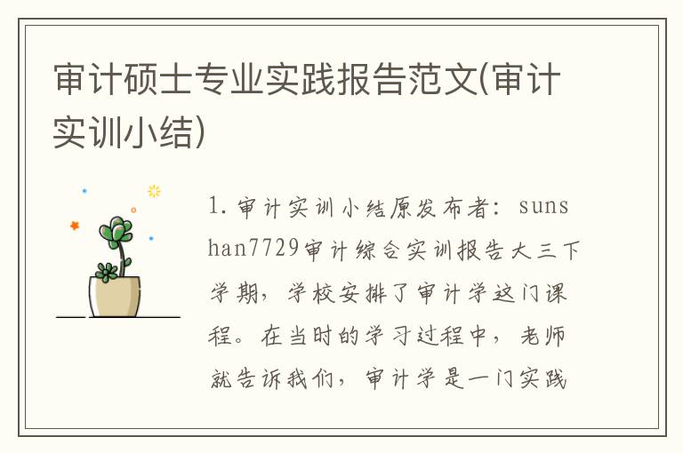审计硕士专业实践报告范文(审计实训小结)