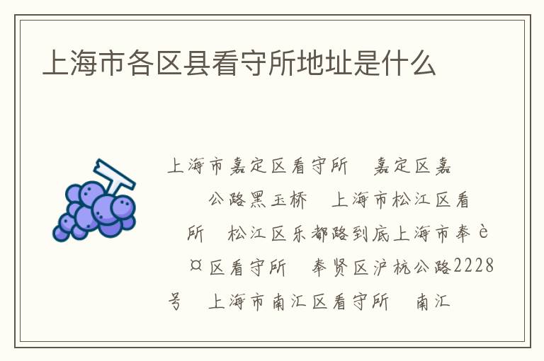 上海市各区县看守所地址是什么