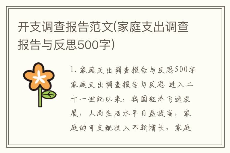 开支调查报告范文(家庭支出调查报告与反思500字)