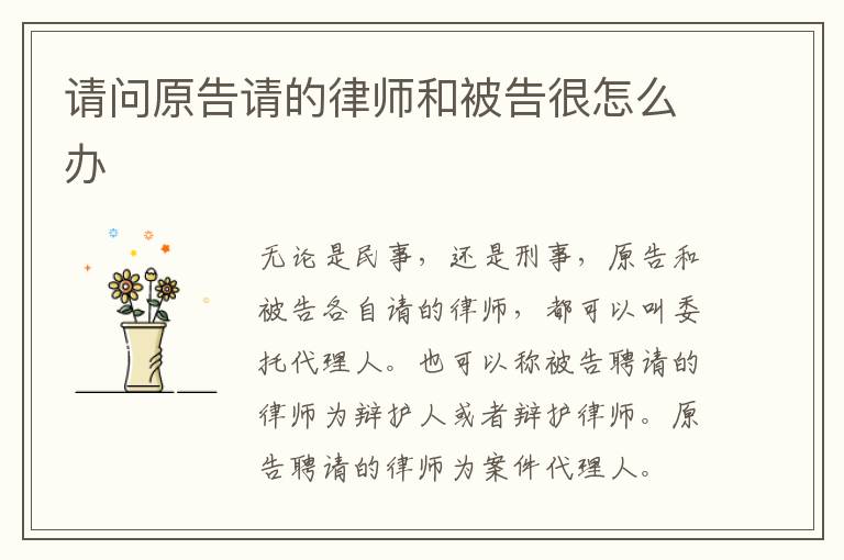 请问原告请的律师和被告很怎么办