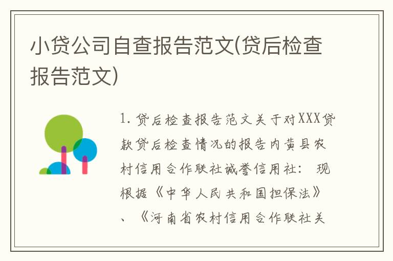 小贷公司自查报告范文(贷后检查报告范文)