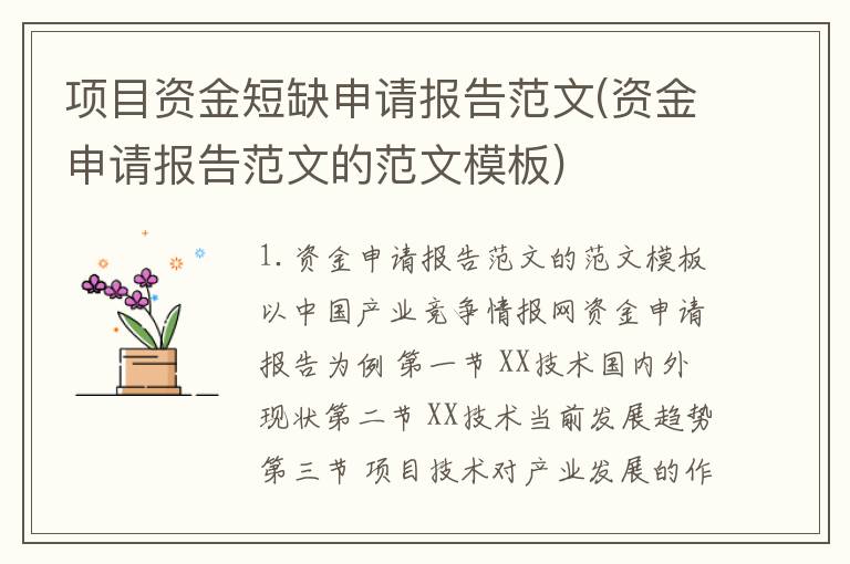 项目资金短缺申请报告范文(资金申请报告范文的范文模板)