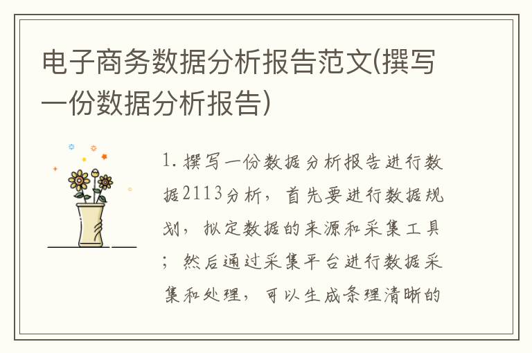 电子商务数据分析报告范文(撰写一份数据分析报告)