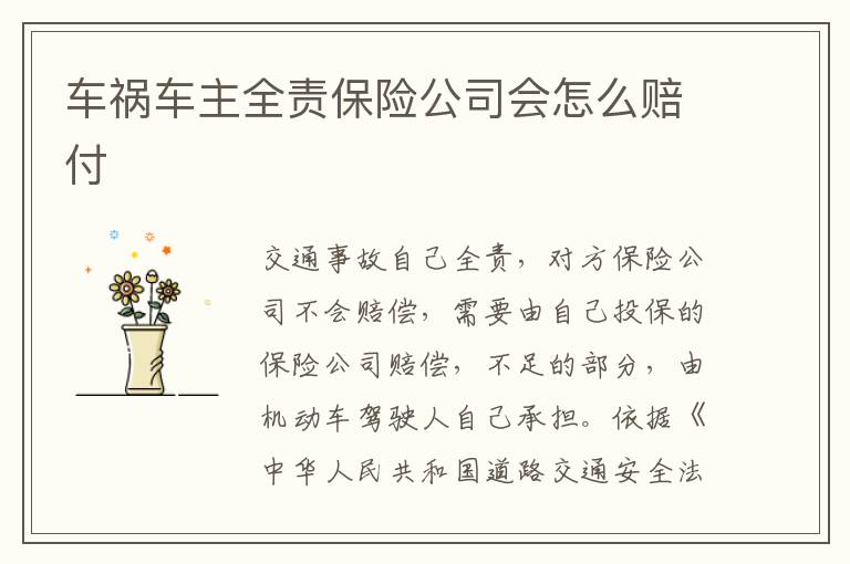 车祸车主全责保险公司会怎么赔付