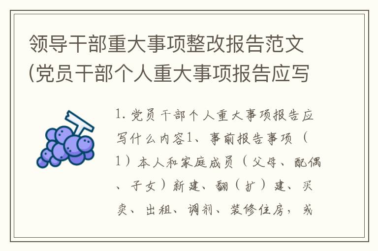 领导干部重大事项整改报告范文(党员干部个人重大事项报告应写什么内容)