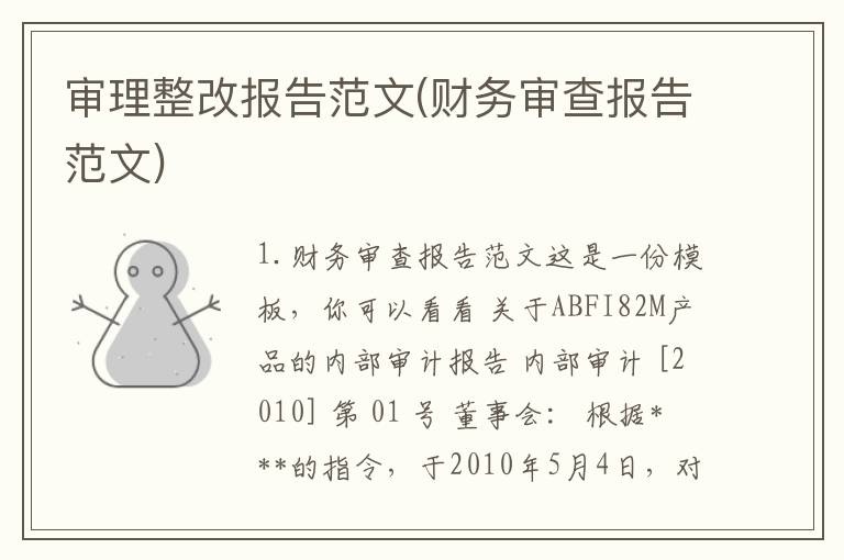 审理整改报告范文(财务审查报告范文)