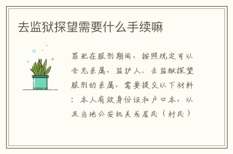 去监狱探望需要什么手续嘛