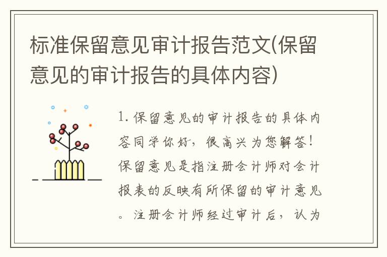 标准保留意见审计报告范文(保留意见的审计报告的具体内容)