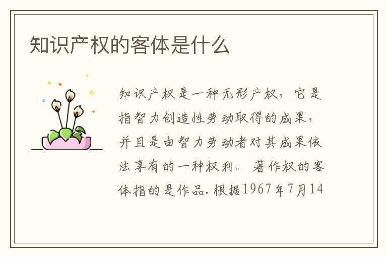 知识产权的客体是什么