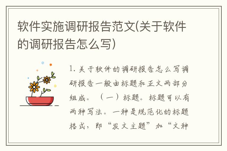 软件实施调研报告范文(关于软件的调研报告怎么写)