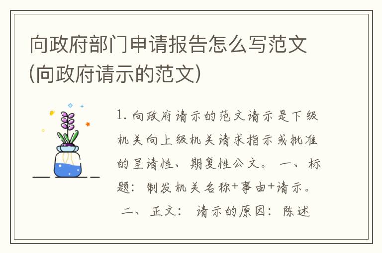 向政府部门申请报告怎么写范文(向政府请示的范文)