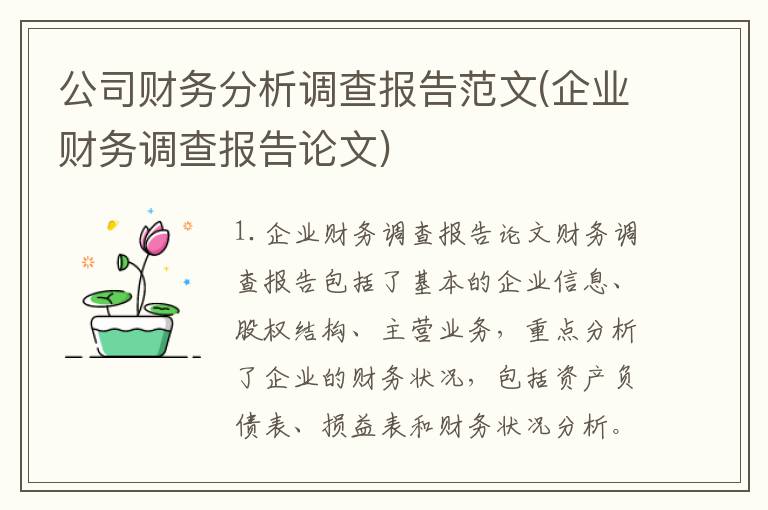 公司财务分析调查报告范文(企业财务调查报告论文)