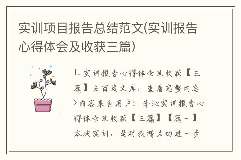 实训项目报告总结范文(实训报告心得体会及收获三篇)