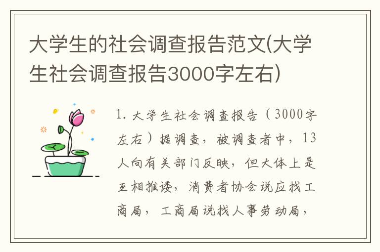 大学生的社会调查报告范文(大学生社会调查报告3000字左右)