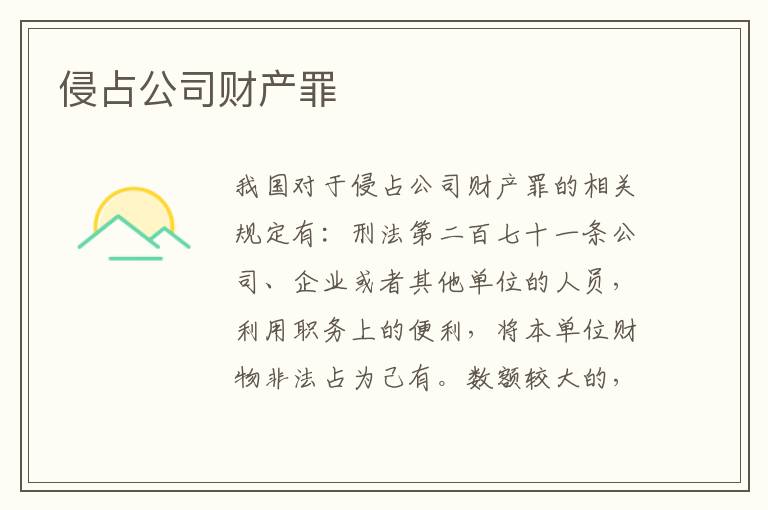 侵占公司财产罪