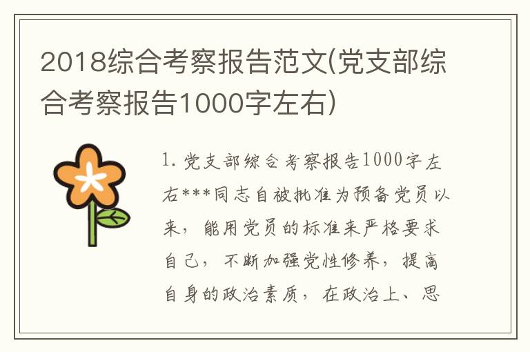 2018综合考察报告范文(党支部综合考察报告1000字左右)