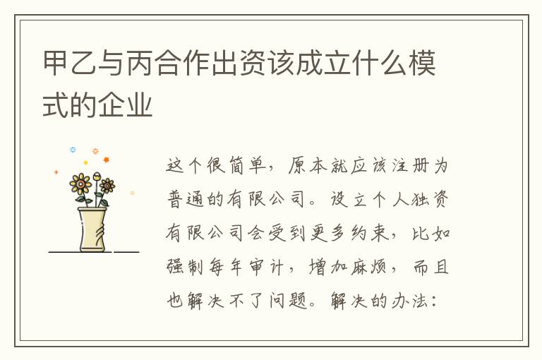 甲乙与丙合作出资该成立什么模式的企业