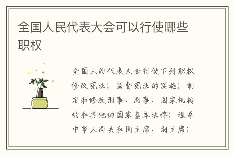 全国人民代表大会可以行使哪些职权