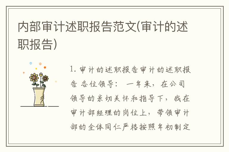 内部审计述职报告范文(审计的述职报告)