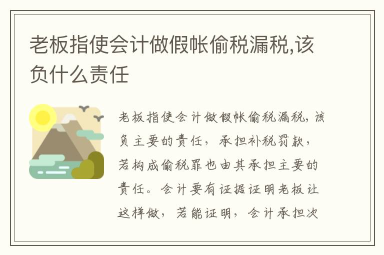 老板指使会计做假帐偷税漏税,该负什么责任