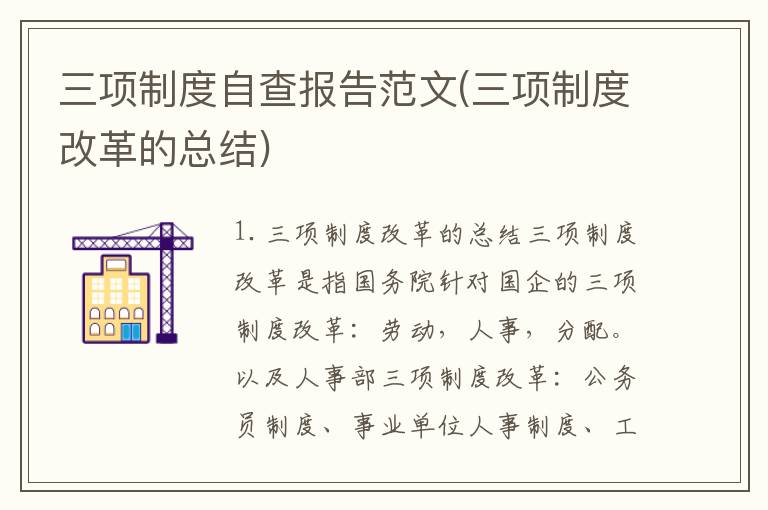 三项制度自查报告范文(三项制度改革的总结)
