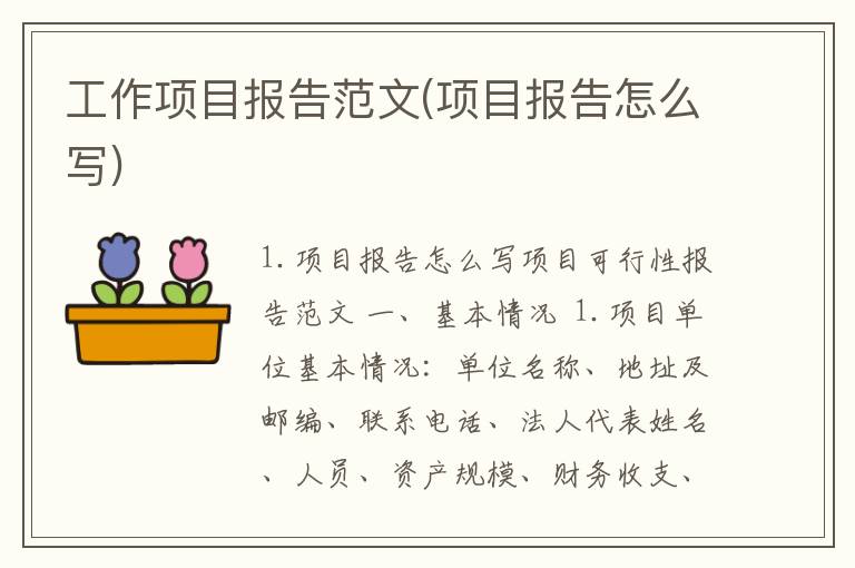 工作项目报告范文(项目报告怎么写)