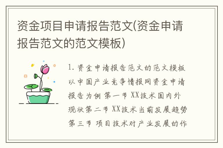 资金项目申请报告范文(资金申请报告范文的范文模板)