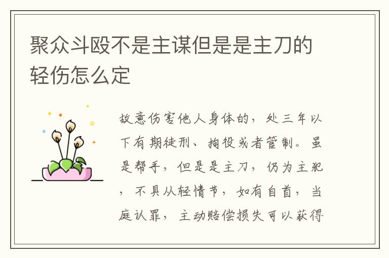 聚众斗殴不是主谋但是是主刀的轻伤怎么定