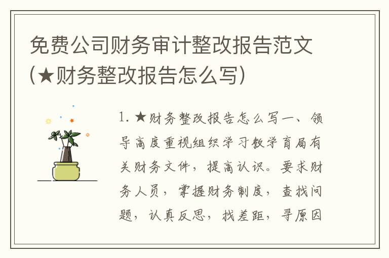 免费公司财务审计整改报告范文(★财务整改报告怎么写)