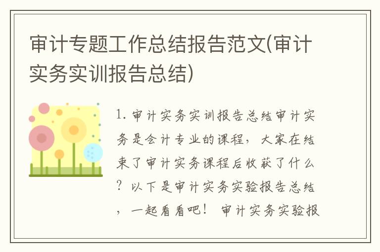 审计专题工作总结报告范文(审计实务实训报告总结)