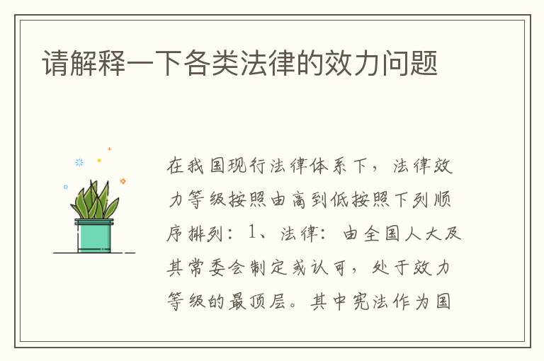 请解释一下各类法律的效力问题