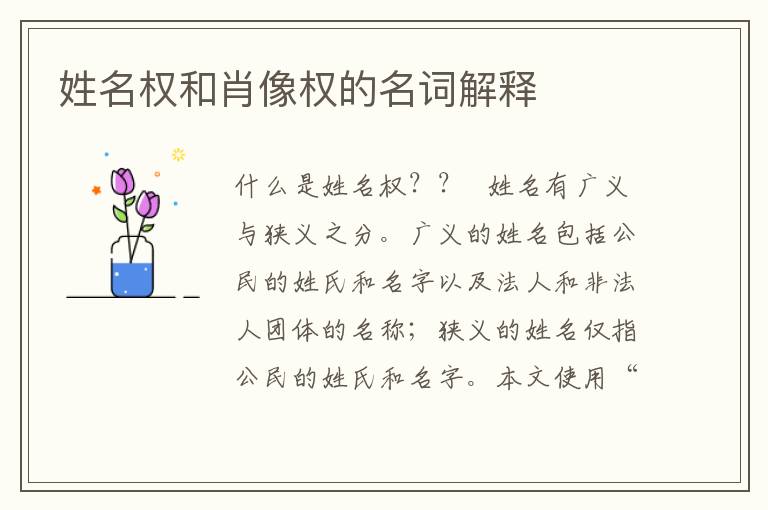 姓名权和肖像权的名词解释