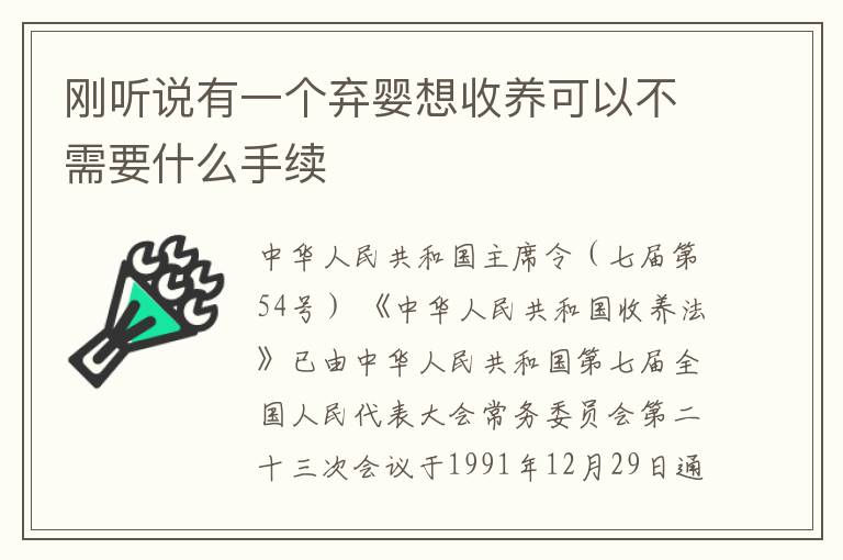 刚听说有一个弃婴想收养可以不需要什么手续