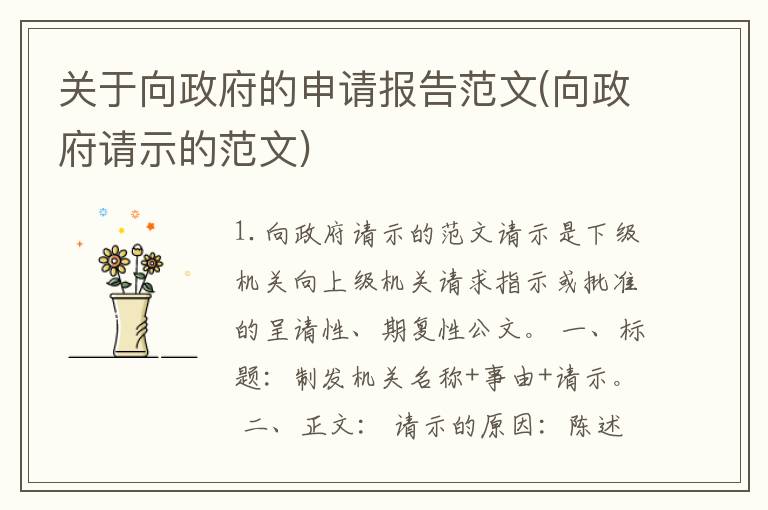 关于向政府的申请报告范文(向政府请示的范文)