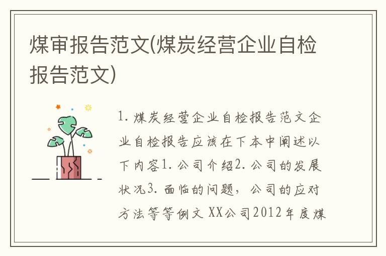 煤审报告范文(煤炭经营企业自检报告范文)