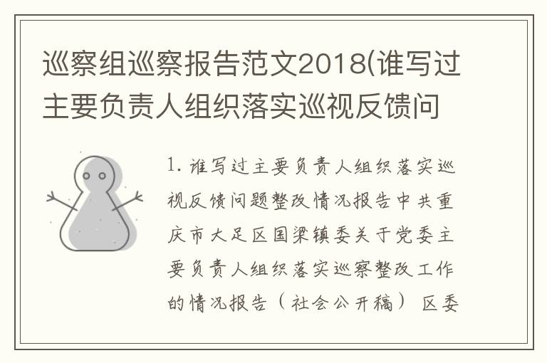 巡察组巡察报告范文2018(谁写过主要负责人组织落实巡视反馈问题整改情况报告)