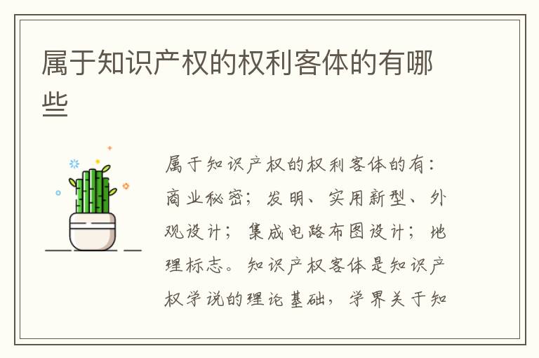 属于知识产权的权利客体的有哪些