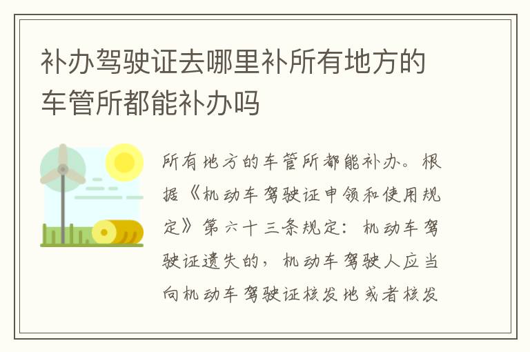 补办驾驶证去哪里补所有地方的车管所都能补办吗