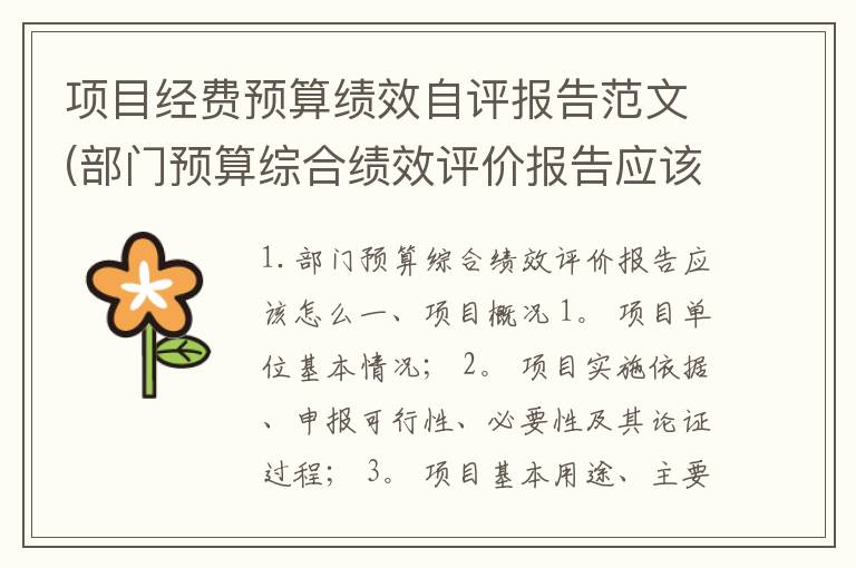 项目经费预算绩效自评报告范文(部门预算综合绩效评价报告应该怎么)