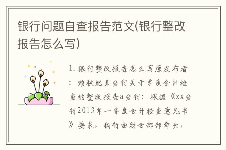 银行问题自查报告范文(银行整改报告怎么写)