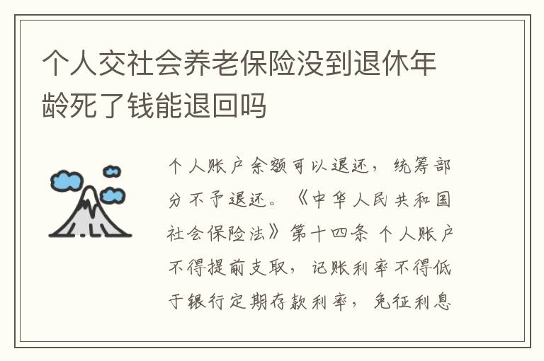 个人交社会养老保险没到退休年龄死了钱能退回吗